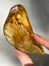 Load image into Gallery viewer, Collectors Specimen - Huge 54.7g Amber with Insect legs inside
