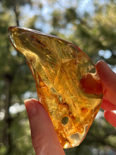 Load image into Gallery viewer, Collectors Specimen - Huge 54.7g Amber with Insect legs inside