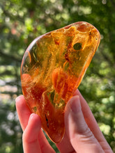 Load image into Gallery viewer, Collectors Specimen - Huge 54.7g Amber with Insect legs inside