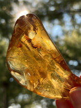 Load image into Gallery viewer, Collectors Specimen - Huge 54.7g Amber with Insect legs inside