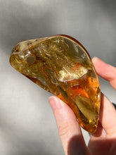 Load image into Gallery viewer, Collectors Specimen - Huge 54.7g Amber with Insect legs inside