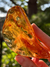 Load image into Gallery viewer, Collectors Specimen - Huge 54.7g Amber with Insect legs inside