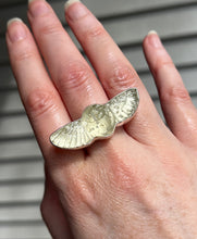 Load image into Gallery viewer, Spring Collectors Drop - Libyan Desert Tektite Carved Winged Scarab Ring - Size 7 (slightly adjustable)
