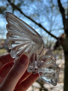 “Chief” Winged Star Being Traveler Skull in Smoky Quartz - Collectors crystal Specimen