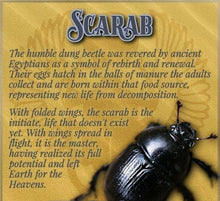 Load image into Gallery viewer, Spring Collectors Drop - Libyan Desert Tektite Carved Winged Scarab Ring - Size 7 (slightly adjustable)
