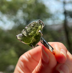 Collectors Drop - RARE Lord Ganesha carved Moldavite size 8 - One of a kind