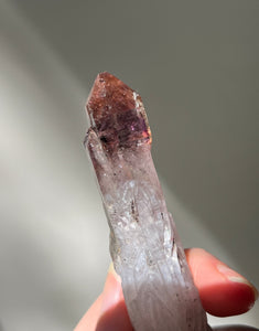One of a Kind - Super 7 Elestial Carved Dragon Ceremonial Wand