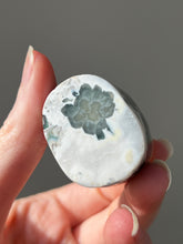 Load image into Gallery viewer, Ocean Jasper with sparkly Vugs