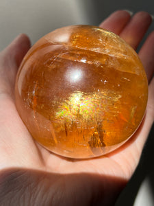 Magnificent Golden Honey Calcite XL sphere