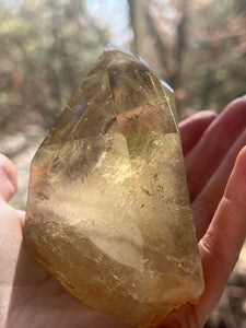 Collectors Specimen - Natural Citrine Tantric Twin, Self healed, gem clarity