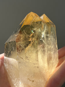 Collectors Specimen - Natural Citrine Tantric Twin, Self healed, gem clarity