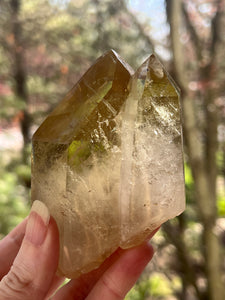 Collectors Specimen - Natural Citrine Tantric Twin, Self healed, gem clarity