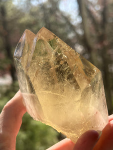 Collectors Specimen - Natural Citrine Tantric Twin, Self healed, gem clarity