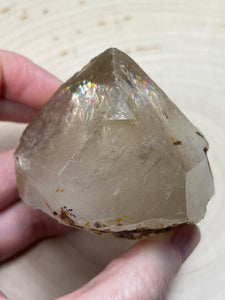 Natural Citrine Generator crystal covered in Record Keepers and Rainbows