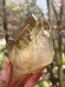 Collectors Specimen - Natural Citrine Tantric Twin, Self healed, gem clarity