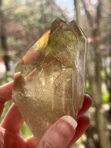 Collectors Specimen - Natural Citrine Tantric Twin, Self healed, gem clarity