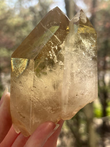 Collectors Specimen - Natural Citrine Tantric Twin, Self healed, gem clarity