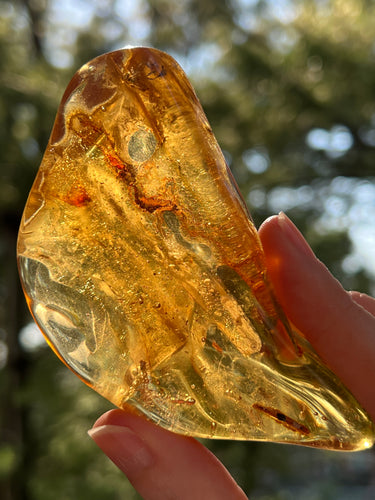 Collectors Specimen - Huge 54.7g Amber with Insect legs inside