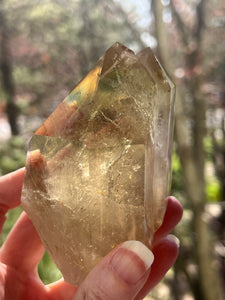 Collectors Specimen - Natural Citrine Tantric Twin, Self healed, gem clarity