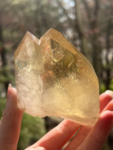 Collectors Specimen - Natural Citrine Tantric Twin, Self healed, gem clarity