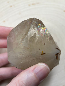 Natural Citrine Generator crystal covered in Record Keepers and Rainbows