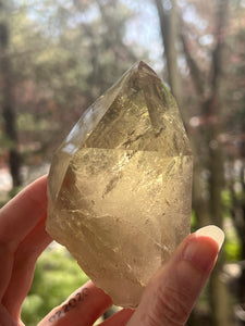 Collectors Specimen - Natural Citrine Tantric Twin, Self healed, gem clarity