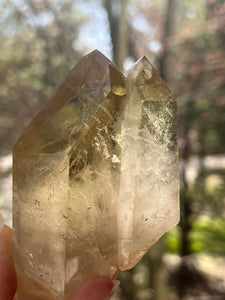 Collectors Specimen - Natural Citrine Tantric Twin, Self healed, gem clarity